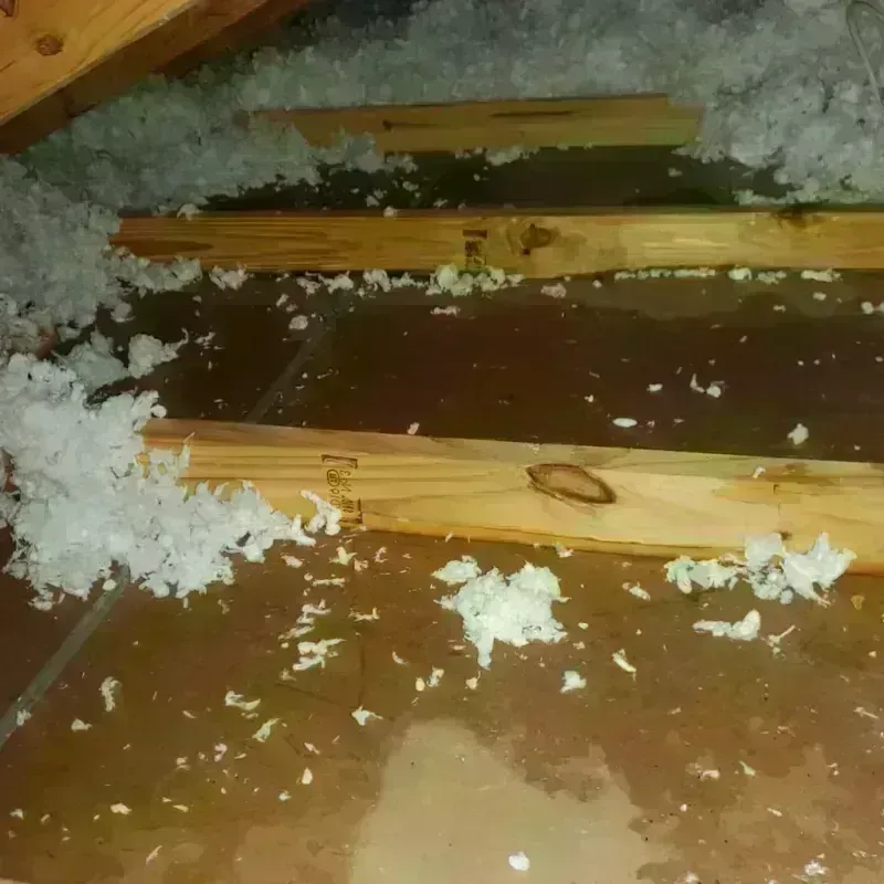 Attic Water Damage in Belmont, MA